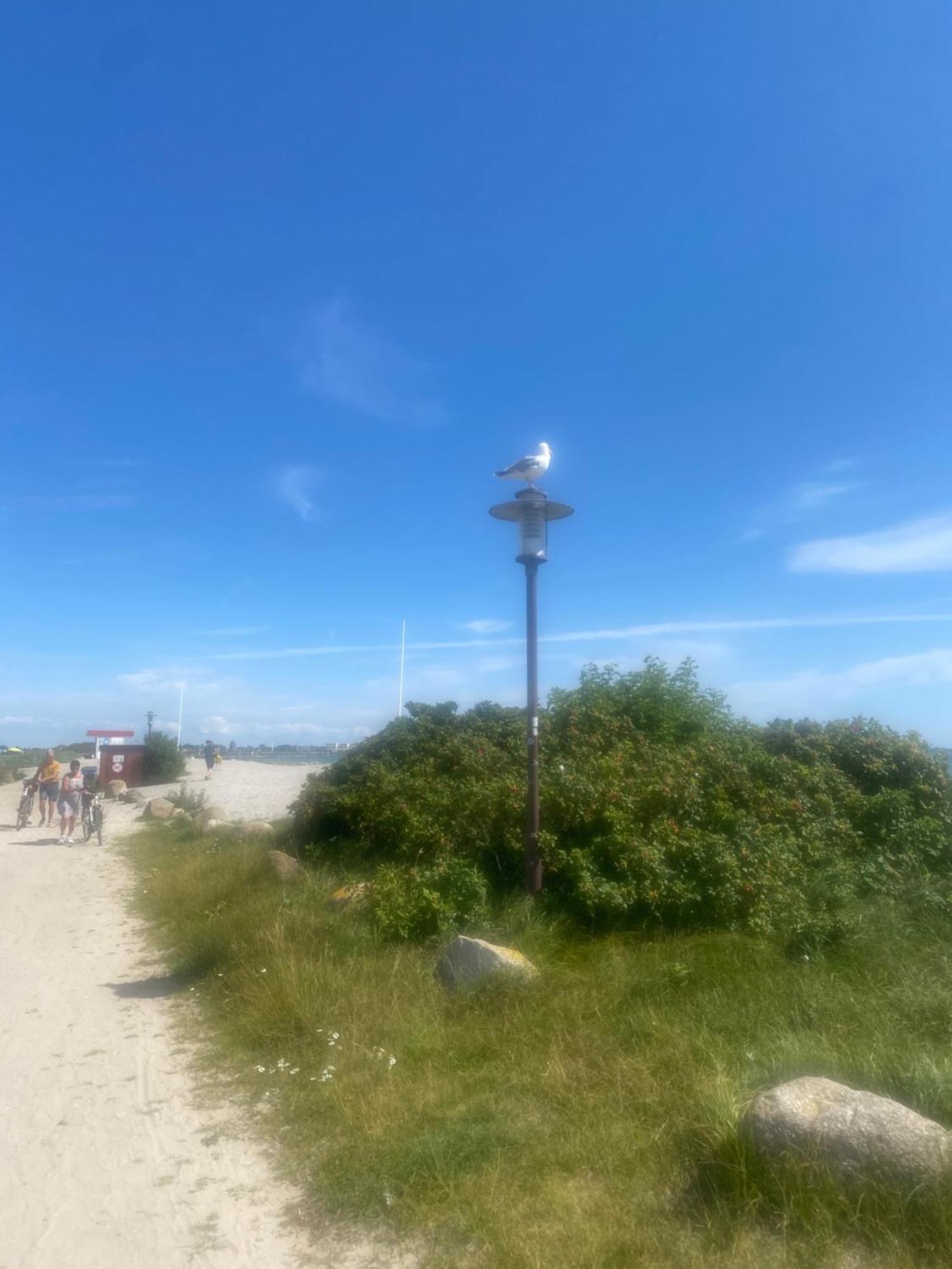 Campingplatz Wohnwagen Auf Dem Wulfenerhals Ca 150m Bis Zum Fehmarn